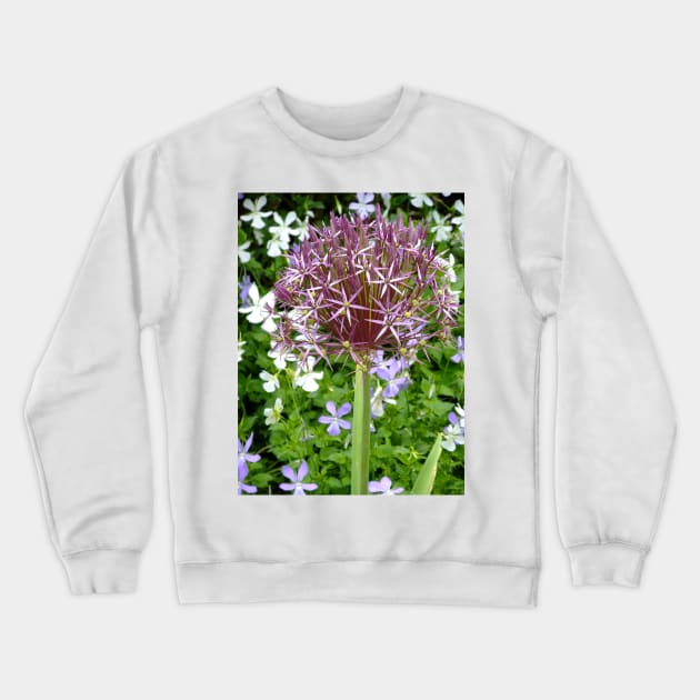 Ornamental Allium Crewneck Sweatshirt by pinkal